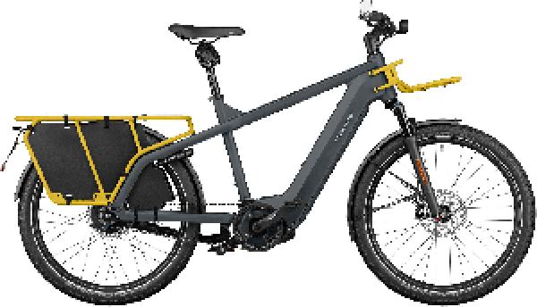 RIESE & MÜLLER Multicharger2 GT vario HS