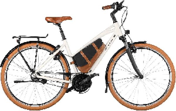 RIESE & MÜLLER Cruiser2 Mixte silent