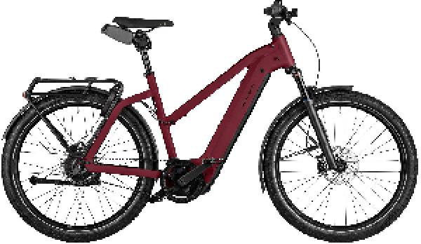 RIESE & MÜLLER Charger4 Mixte GT vario SELECT