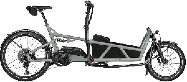 Riese & Müller Load5 60 touring