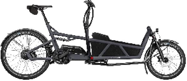 Riese & Müller Load5 60 vario