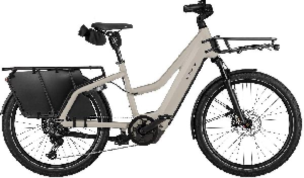 Riese & Müller Multicharger3 Mixte touring