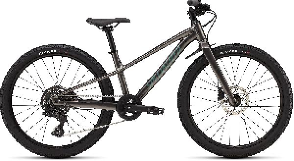 Specialized Riprock